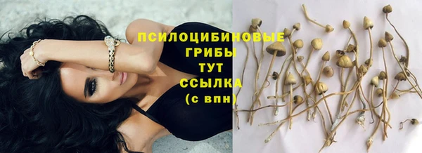 соль курить ск Наволоки
