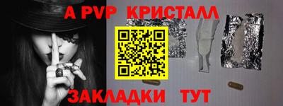 гашик Донской